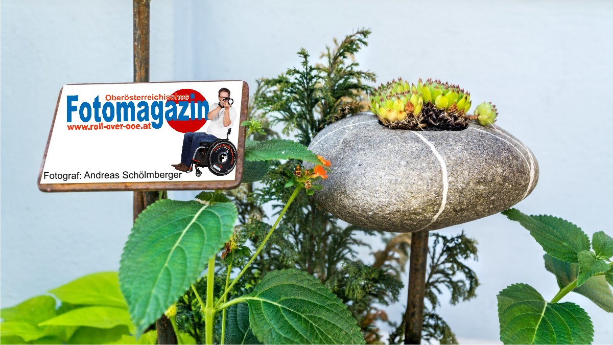 Obersterreichisches Fotomagazin